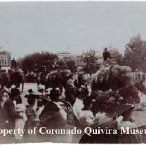 parade with elephants